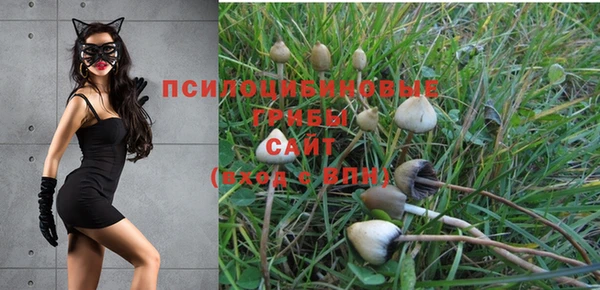СК Лихославль