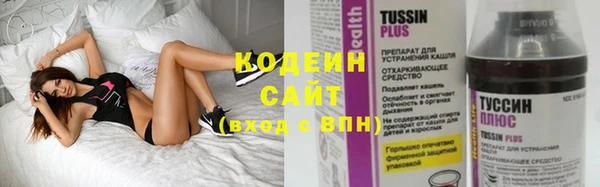 дмт Ладушкин