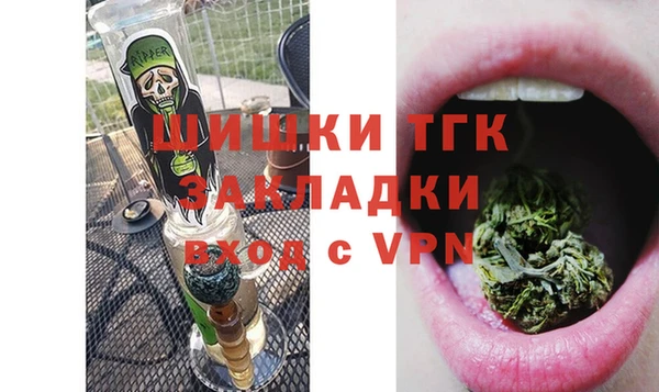 дмт Ладушкин