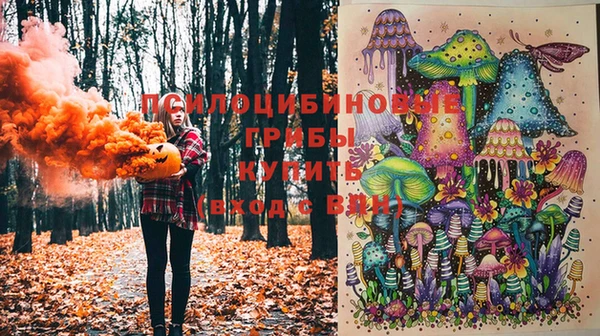 СК Лихославль