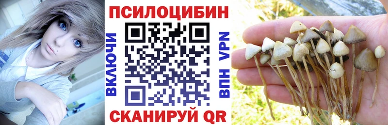 Галлюциногенные грибы Psilocybine cubensis  Купить закладки  Сургут 